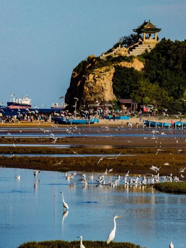 3c18cc6c0f7e1024ca1e1a09b87a42d1-sz_960043