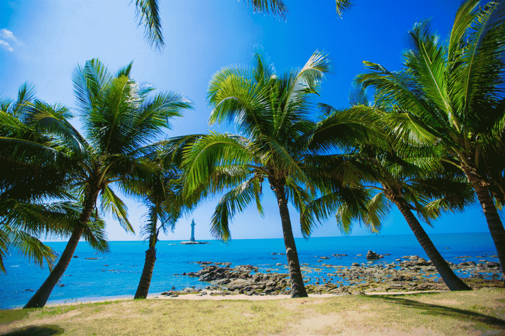 3c4e5a3ea1937d07ded63f81d31d672b-sz_1217722