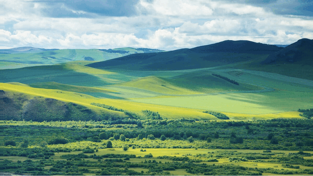 3c8b70f531433ba02d72eed7d0bc0ca6-sz_1582212