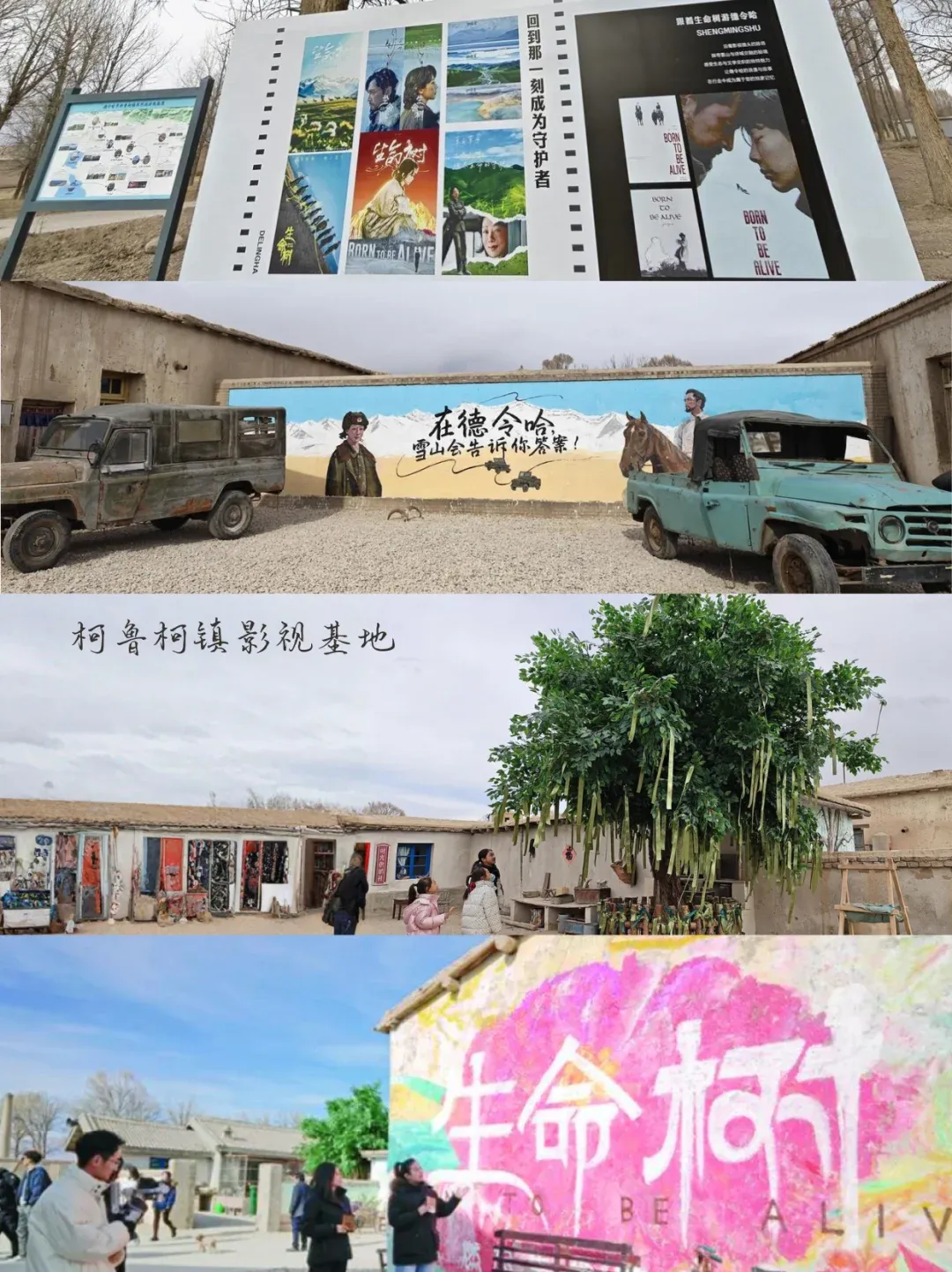 3c90f5fa034e34845746689908f23beb-sz_2389561-2