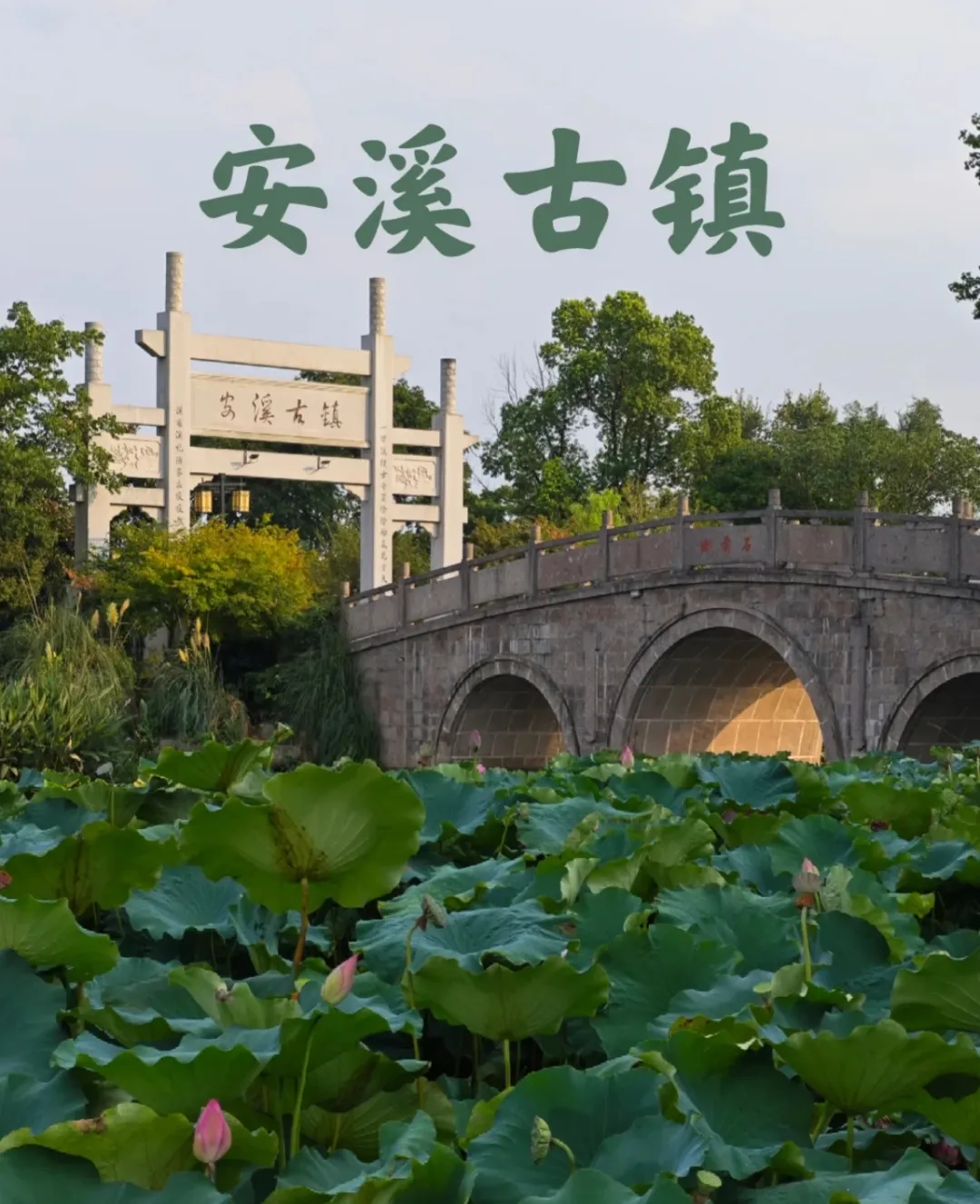 3d3d1def6a353aebd9c8ab9d1f577ad3-sz_860114