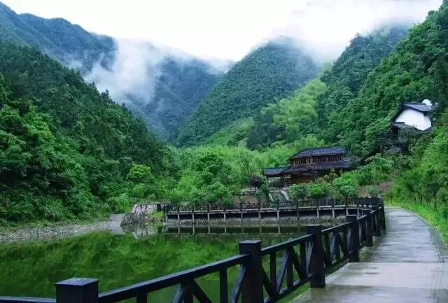 3d4df336840a72c8775ca92ad2b9158c-sz_60831