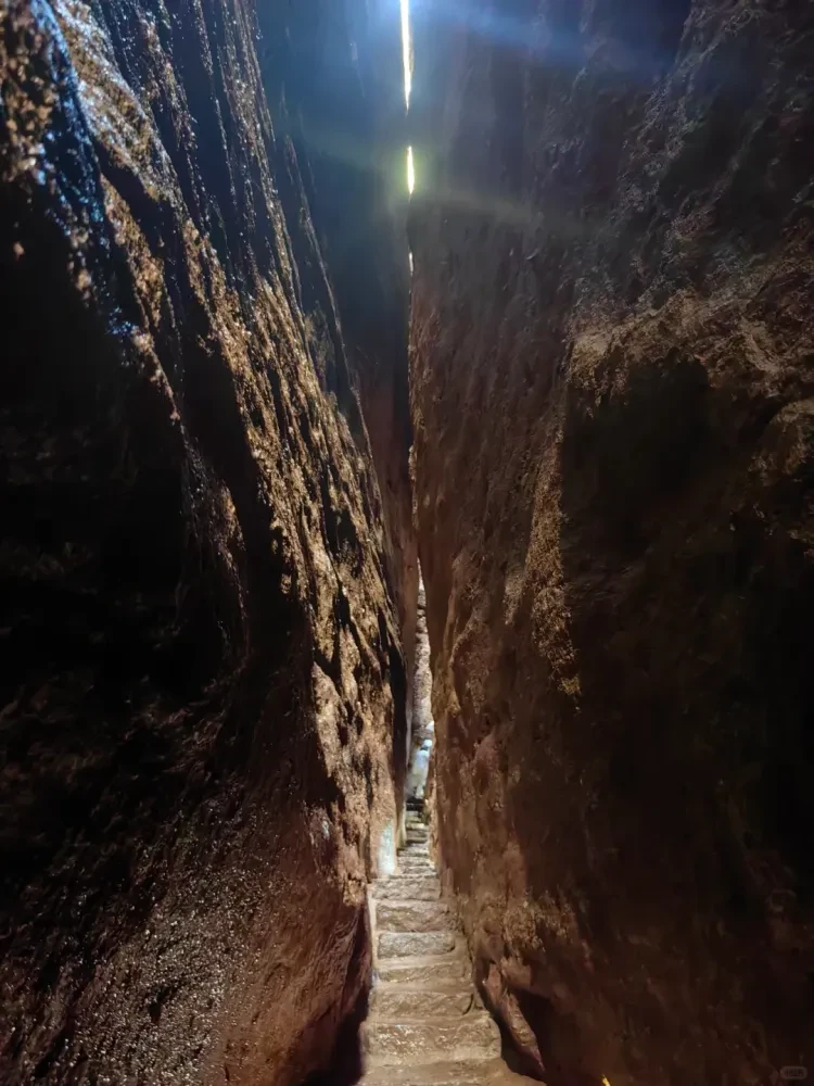 3d5bb6094e75c5170653eb68bf172f0f-sz_2399146