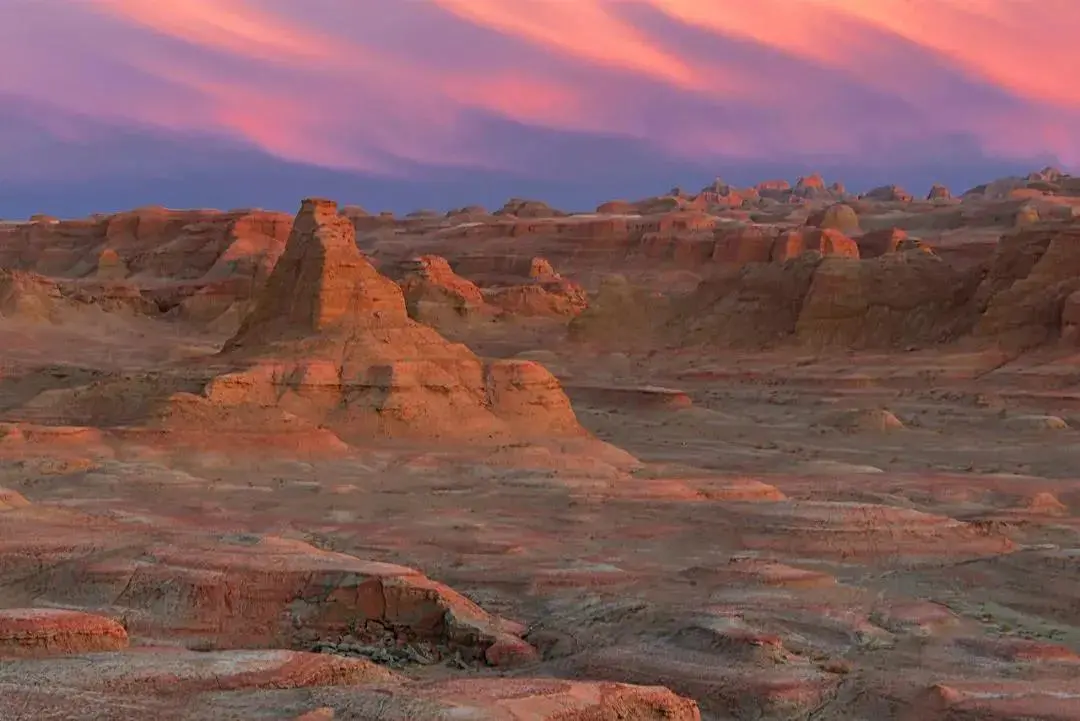 3d919ce6e1dd2d8ca34d5b2494aef7f5-sz_85016