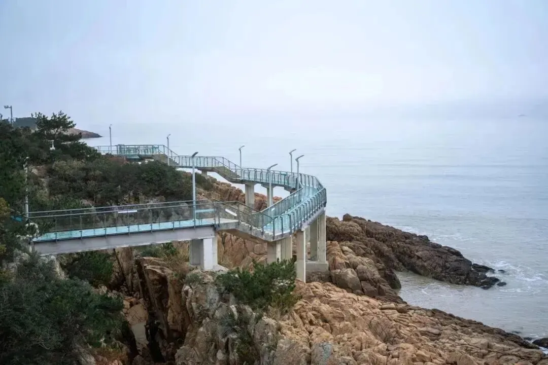 3d91f156b362d3245ab4b730aa8290a7-sz_105699