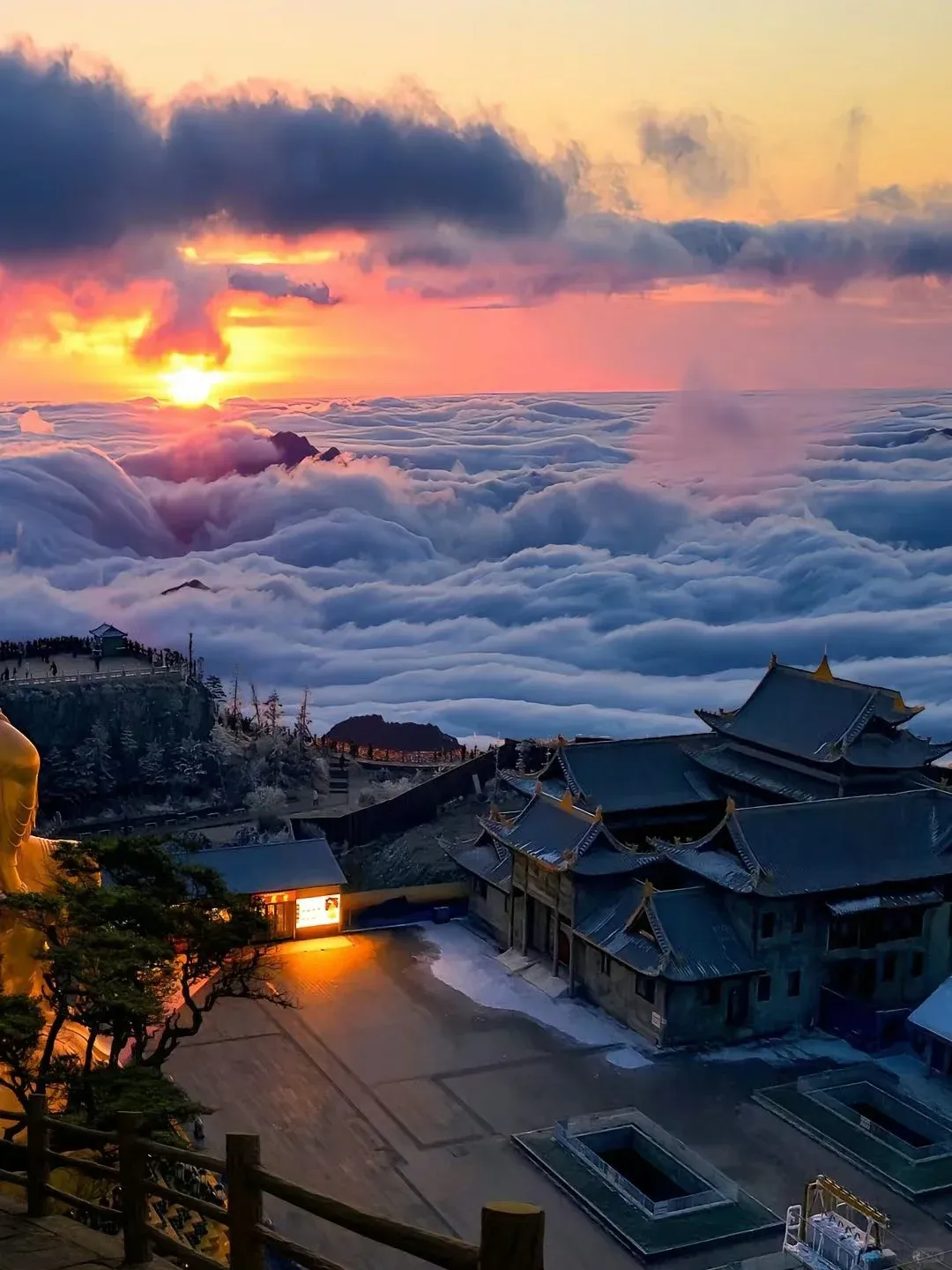 3dc67763708c08daf5a7ac80f72369e5-sz_2492564-5