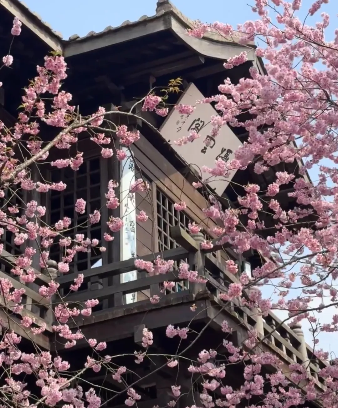 3deefbc59ca699076c9f4c706060d154-sz_1128525-2