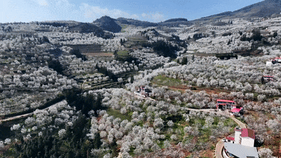 3e0b4561a59e16f0f4a92e7a0c736df2-sz_2001684