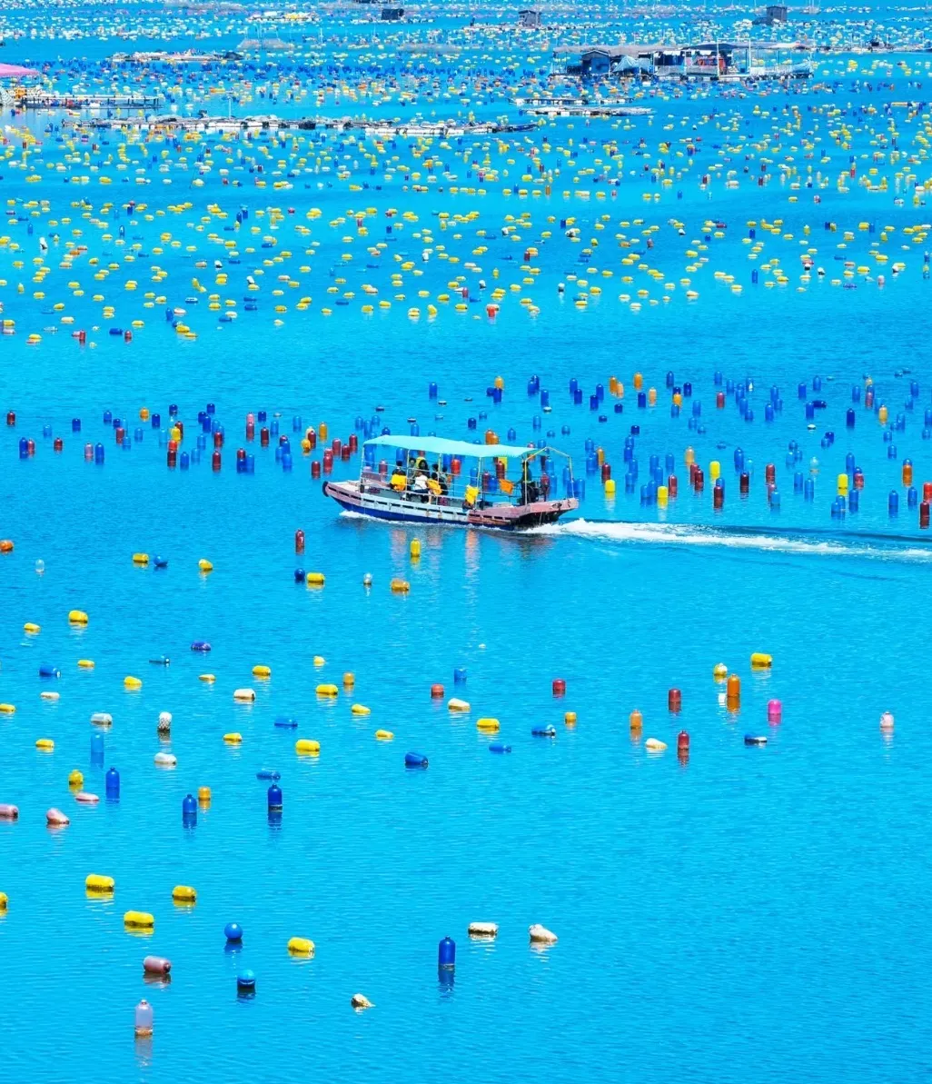 3e3f7677e187d9e90fc66ff1ca5001a1-sz_528033