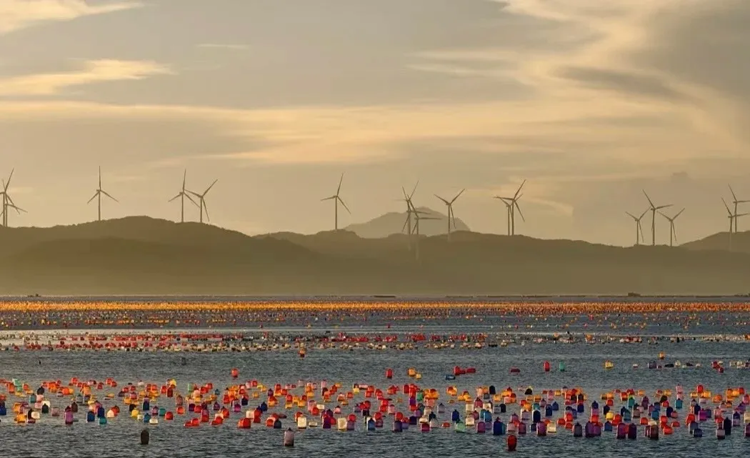 3e63d07f4c5256acddfc63271aafcb8b-sz_148766