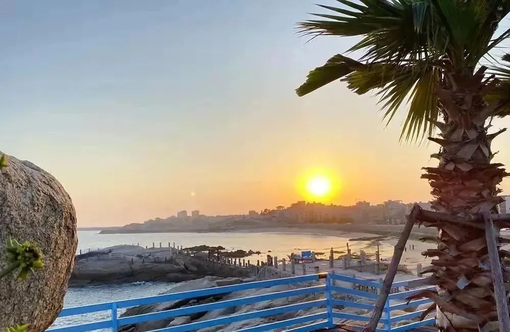 3ecc32676ca7d3bb8044e60846fd1534-sz_96918