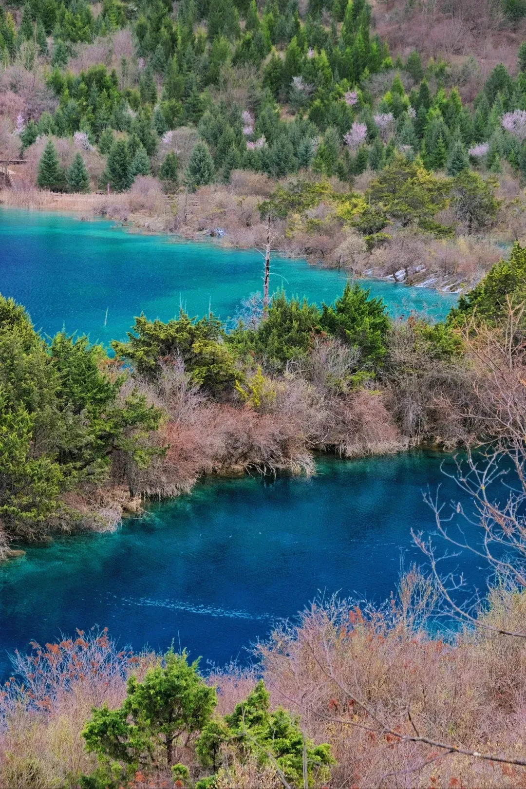 3f1fe5b53abea1ebffd56768f924b347-sz_737232