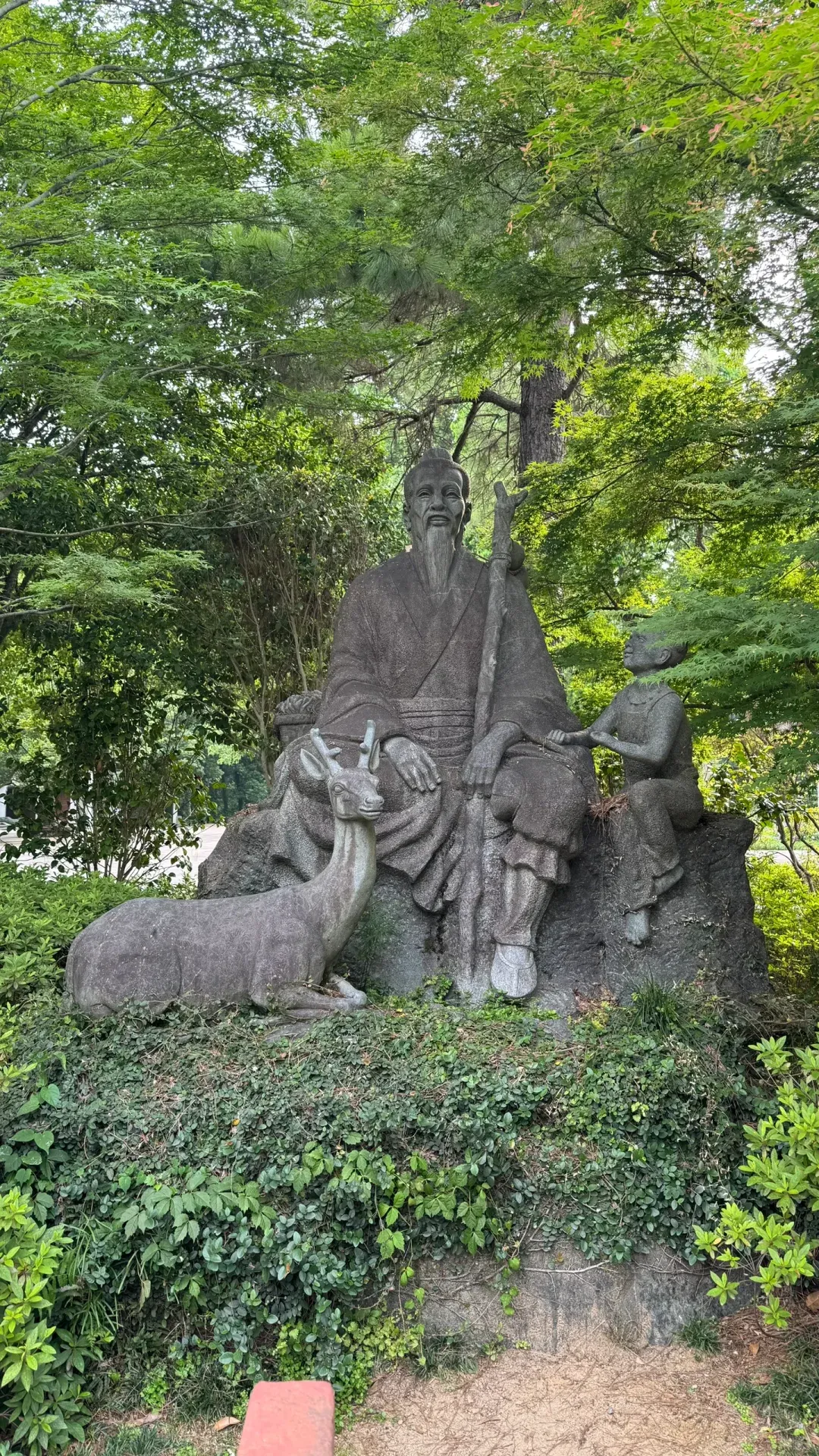 3f51d32245ece21048addd0804c4ca05-sz_4937436