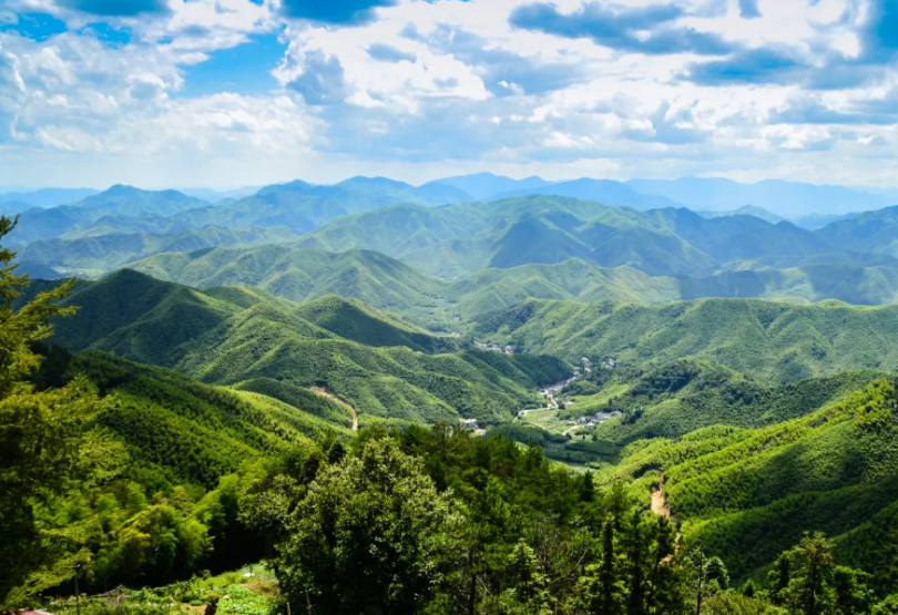 3f69350797c4ea037aae63d777e45a1a