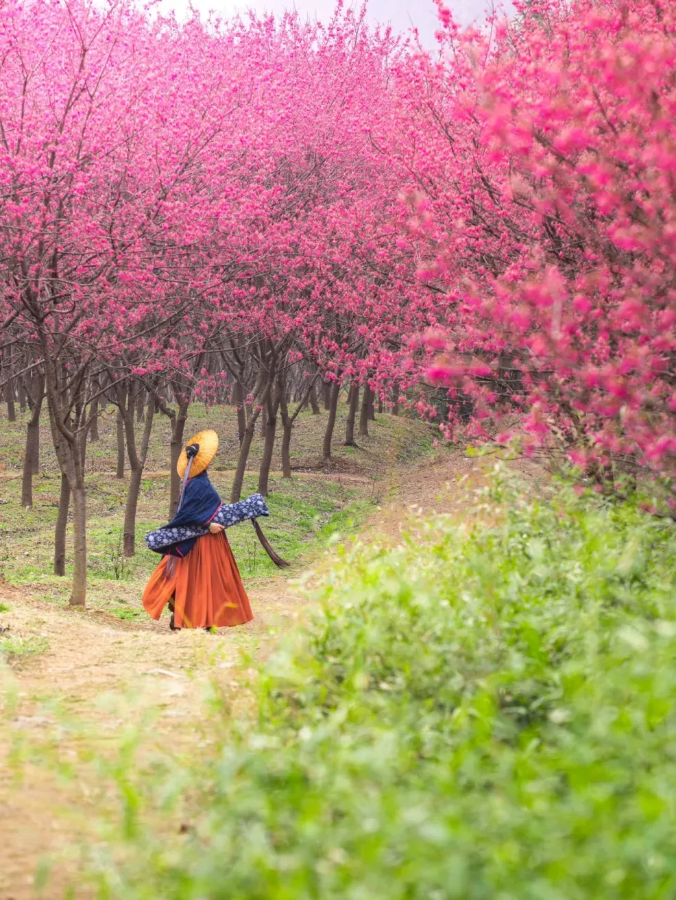 3fa499c53c90b2022754f3ce58b550ce-sz_2248715