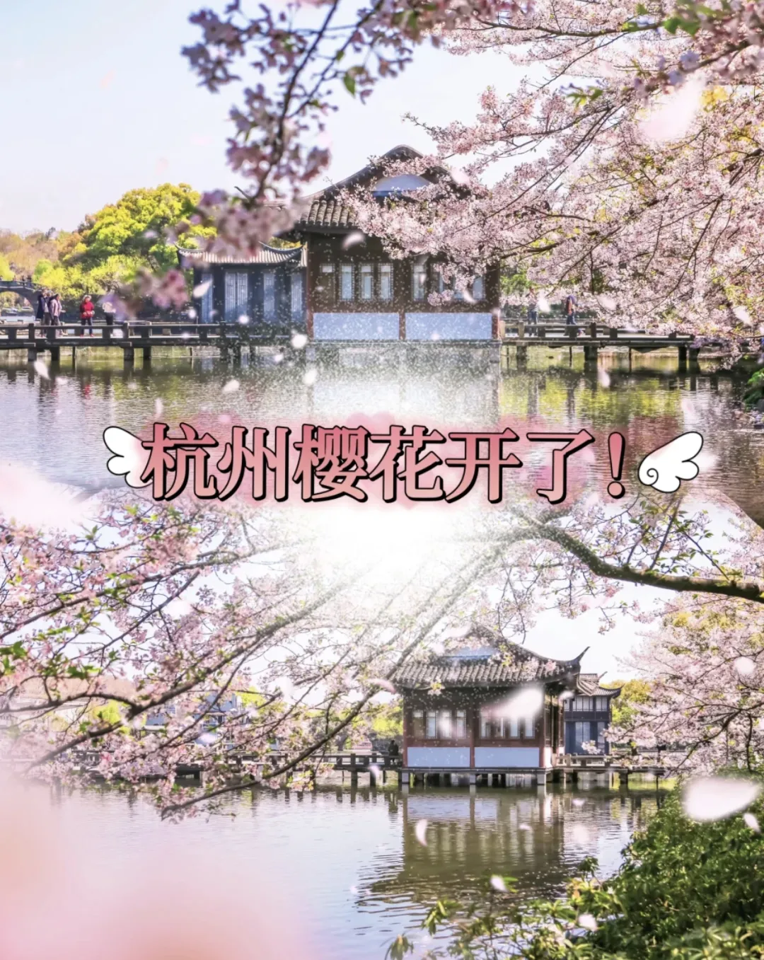 3fcefb6e164df66b44474f9cdb274e30-sz_1463647-1