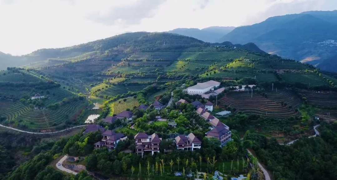 40520d358768d7f7bbab692137531013-sz_2246113-1