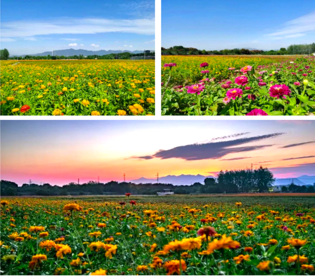 40acb27309badd0adec2750daac78dff