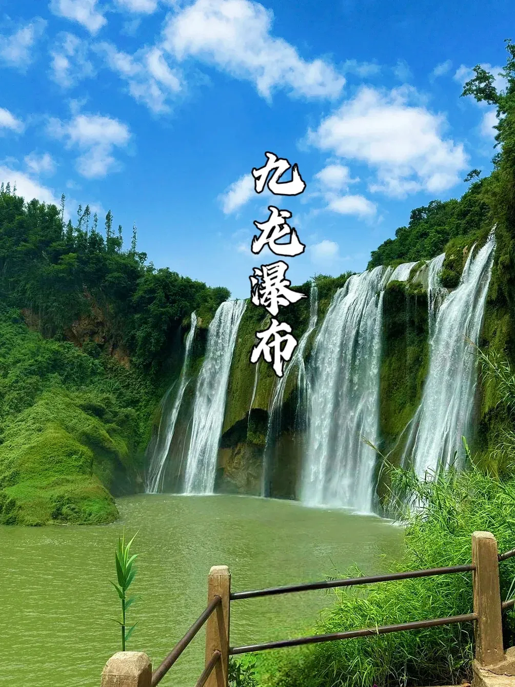 40d1cce794da288fa6a23fdacb5472c2-sz_2979473