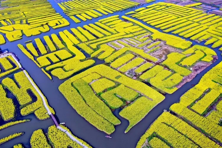 419ccf1a5ca61b97aa2431a9f4d58f4e-sz_463883