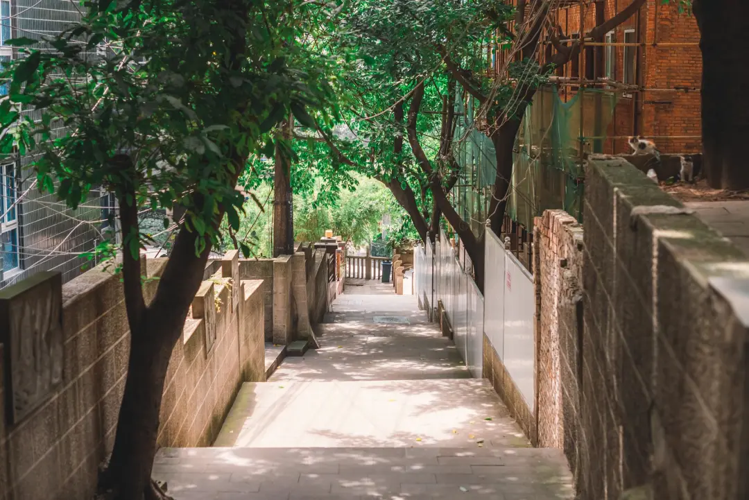 41a681ba7fffe4d8997e4c30ff5775a9-sz_865314 41a681ba7fffe4d8997e4c30ff5775a9-sz_865314