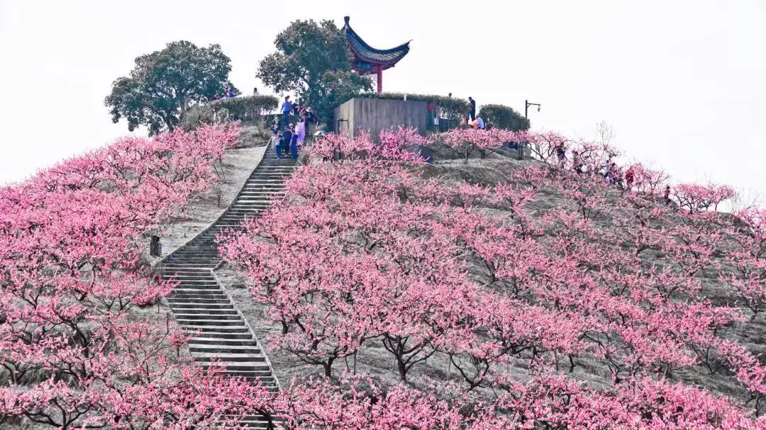 42480d59c4b53a466a98696d988c521d-sz_189024