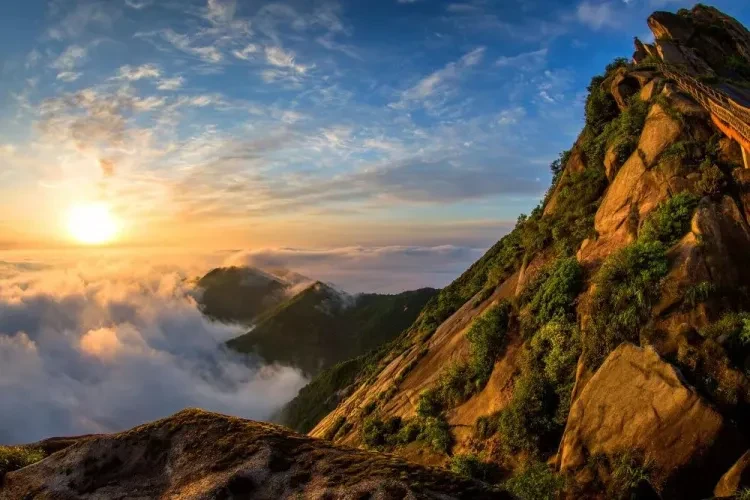 425c8601717ce1b1776dbbd8657fa987-sz_128563