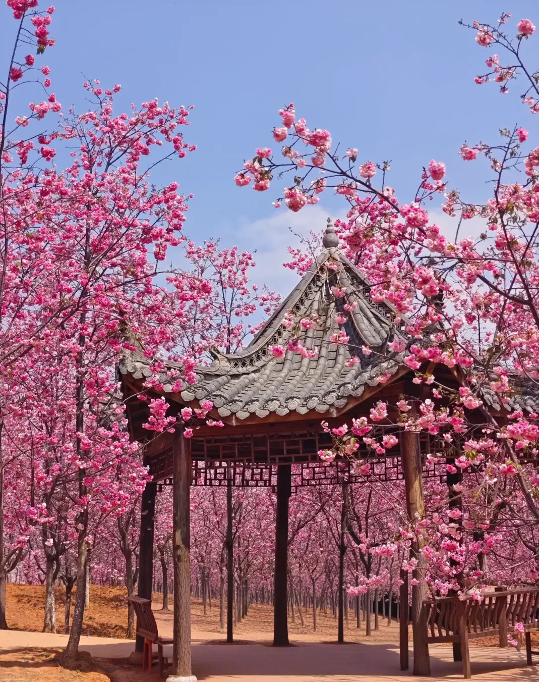 42c082ab9a16cf70d6d3c6b6a80ef4ee-sz_2729395 42c082ab9a16cf70d6d3c6b6a80ef4ee-sz_2729395