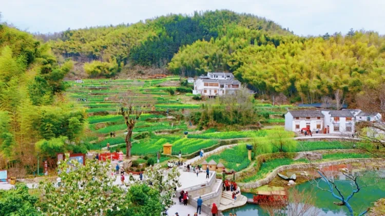 4312feab0f9b3ef6f6006378571d8bfb-sz_1425637