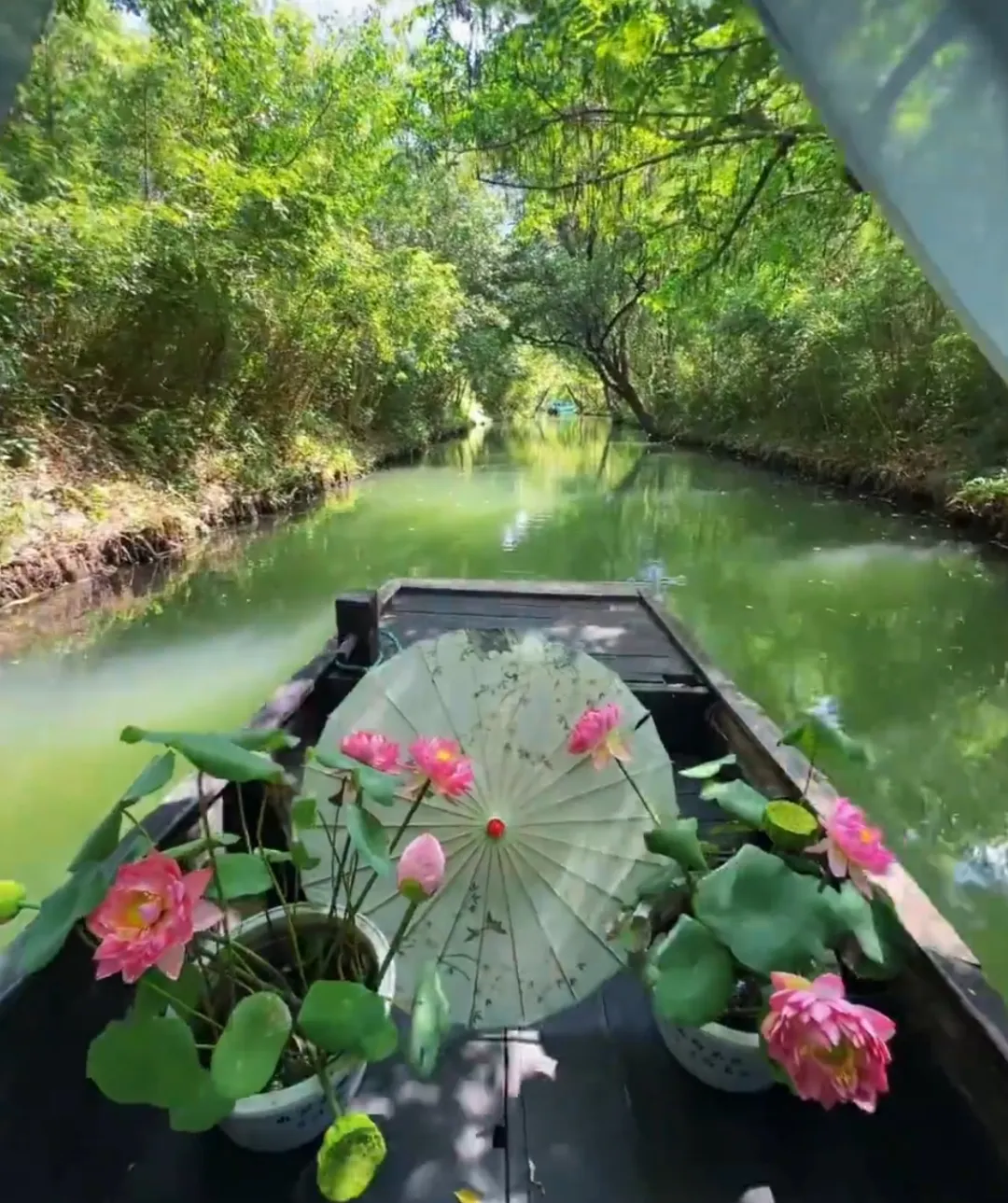 431f0b2219b3bb4cf8de7d968bc21a8d-sz_884346-1