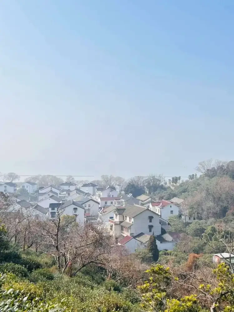 433906dbab45a65763f8345fe613aa10-sz_229510