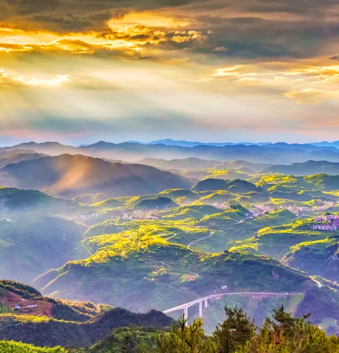 43439e5b4cd33899b5631919681bdfe8-sz_1639976