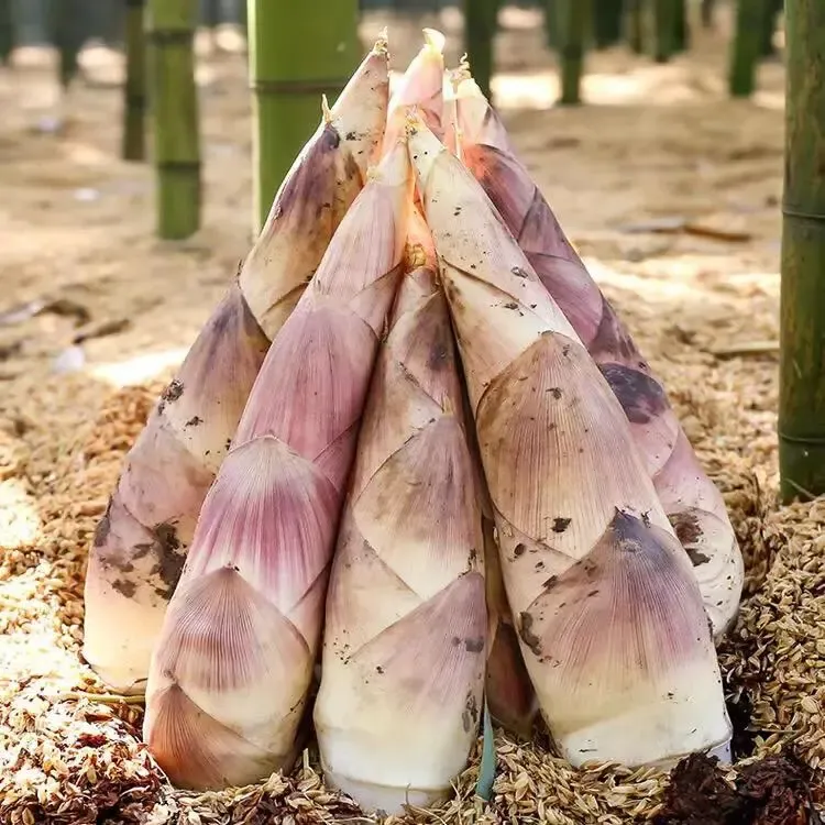 438aa9411a39f6a55828562642ee3b75-sz_902714