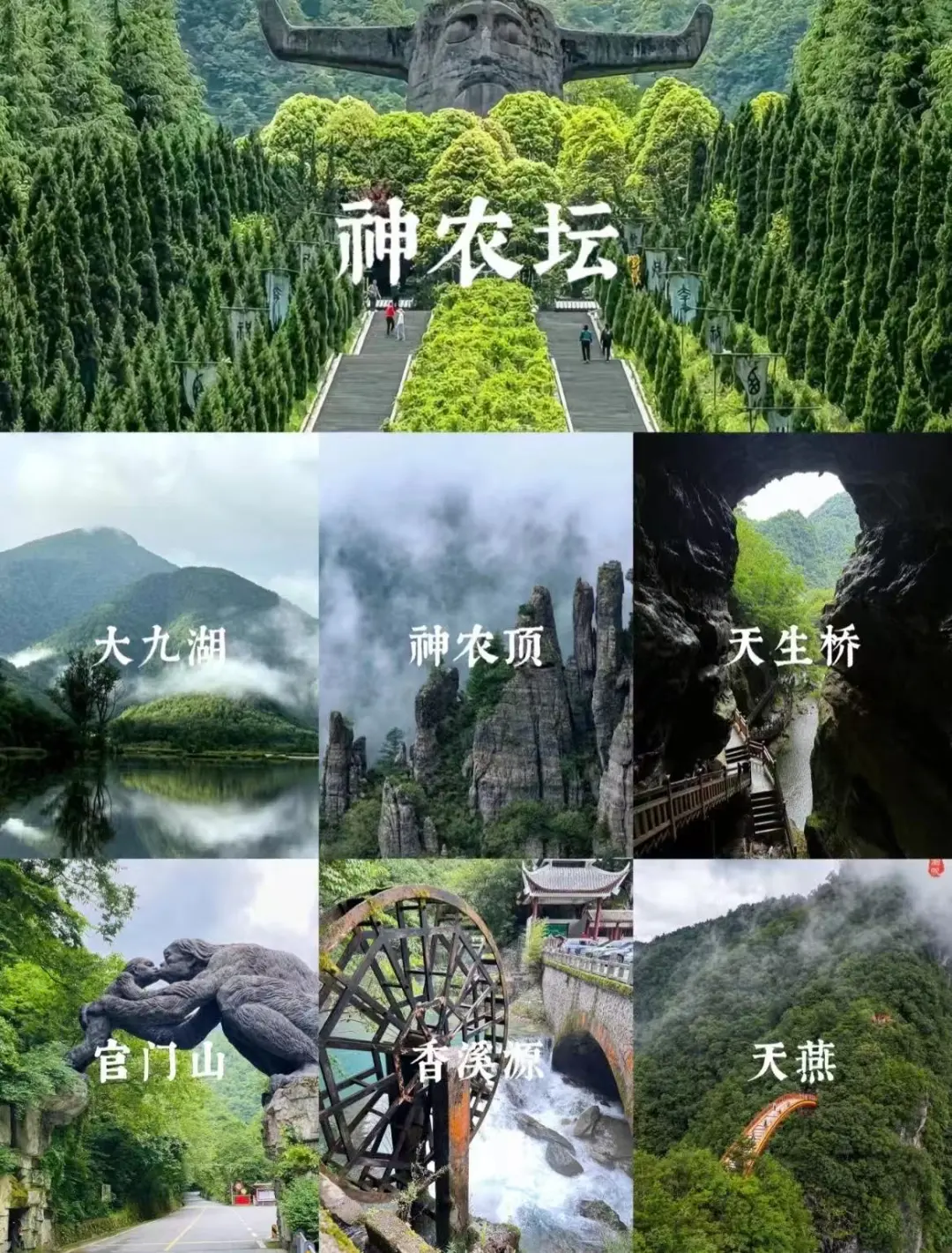 438e05127f2bcfab62e6bbed1dcf9434-sz_374142