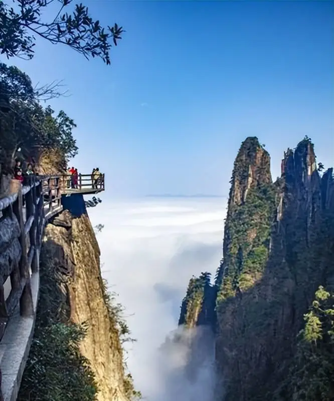 4453f81e958d36d1fb6aa39b8a4316a6-sz_83635