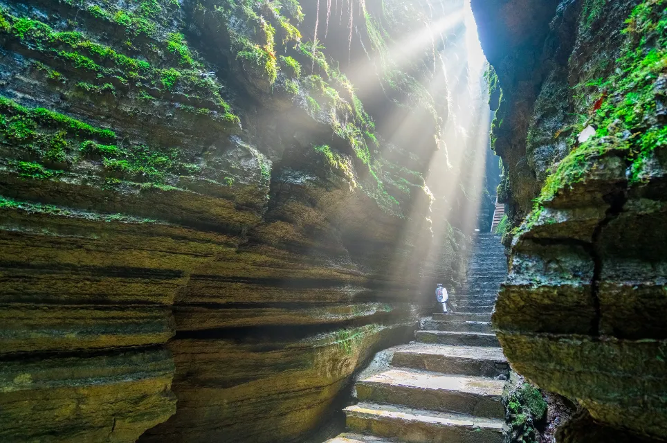 446858868b51194eb311e74a9614c285-sz_1353705