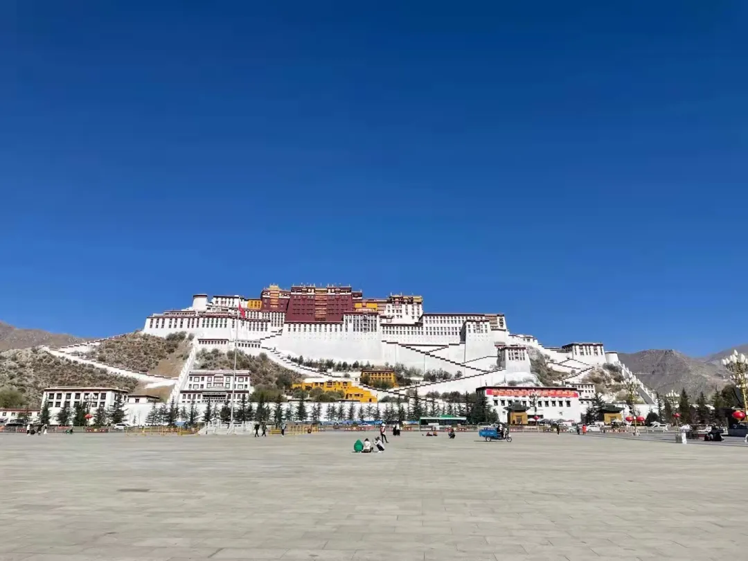 44dfe339ae3fcd4a7ce9e52ce8641383-sz_607297