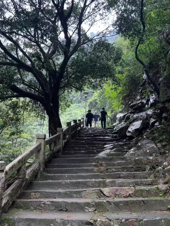 44f3633e2071a54626fa2dd341f74e95-sz_1062864-1