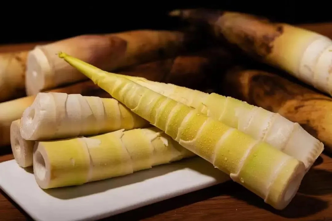 44ff0ee5c335276d32c25fd67dcc9876-sz_629403