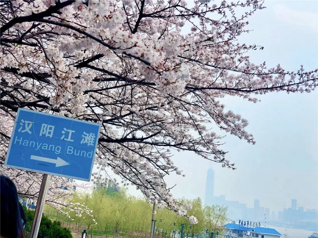 45951e0dbb977ec904bc53139e63ec72-sz_228963