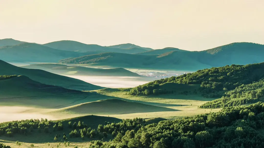 45a27cb3e3014c3febd1f06f80f76c6f-sz_365076