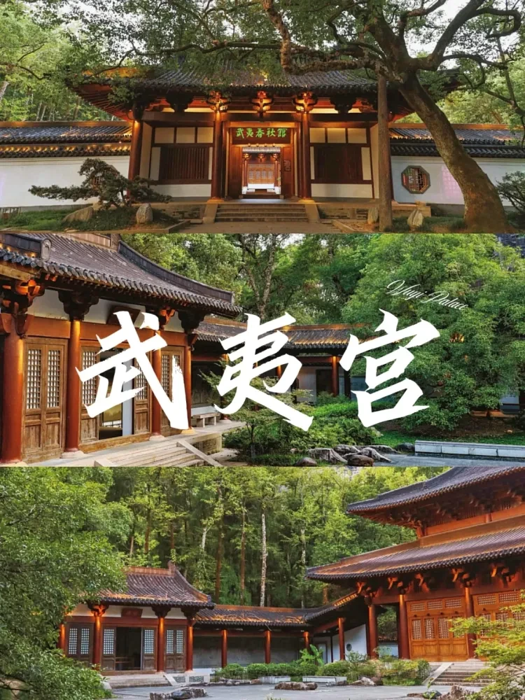 45c81db4e19c4fa8e4c2fcda3f7761ef-sz_2902956