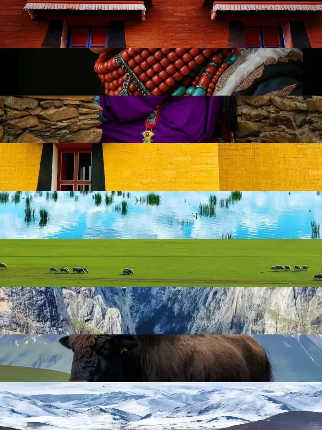 45cd54865687db6c8c7eea836f7ecd41-sz_2881233