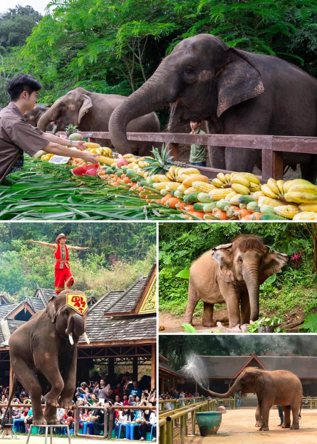 4628b934e2f8c030b5de6a483508a12a-sz_3998937-1