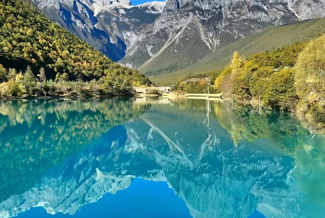 46516d07ff92352cd760009e0d7ce7ab-sz_797629