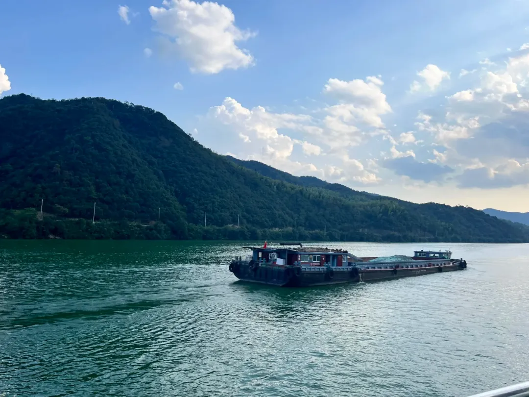 46684ae6a245f19d97a8c823c0b2d4d2-sz_2319463