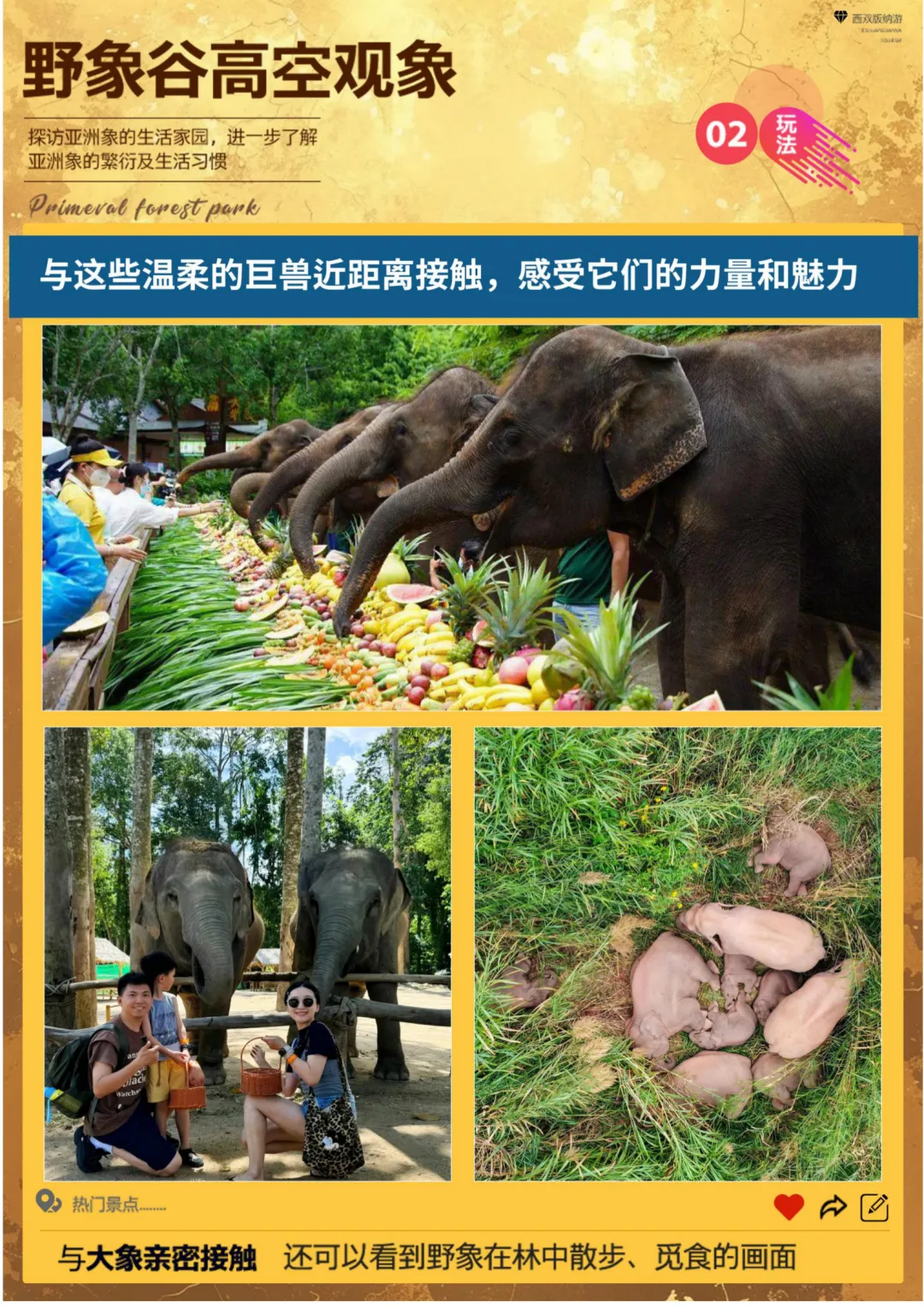 46af3c79a9d594dee74db9b64268eb3e-sz_5484804