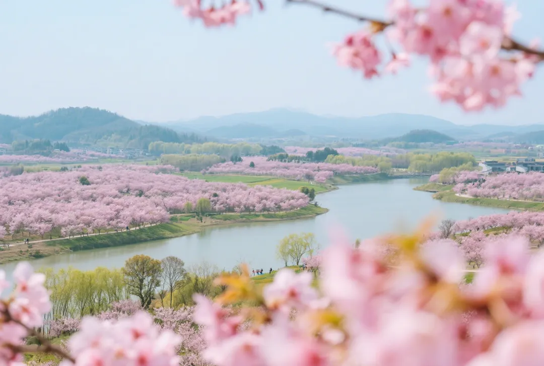 4702d5f61cc0cb50c48a5429687747eb-sz_1993430-1