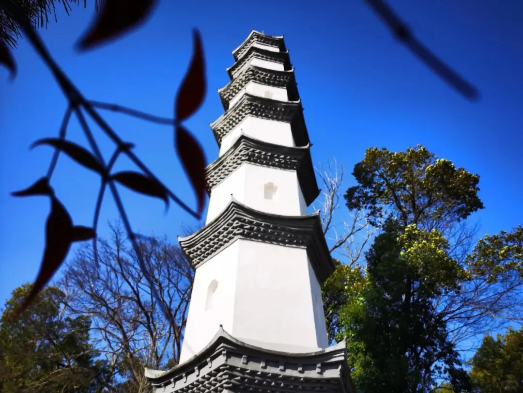 470ee5c64d6a5edc6dbda7ff1aedaa3b-sz_1626875