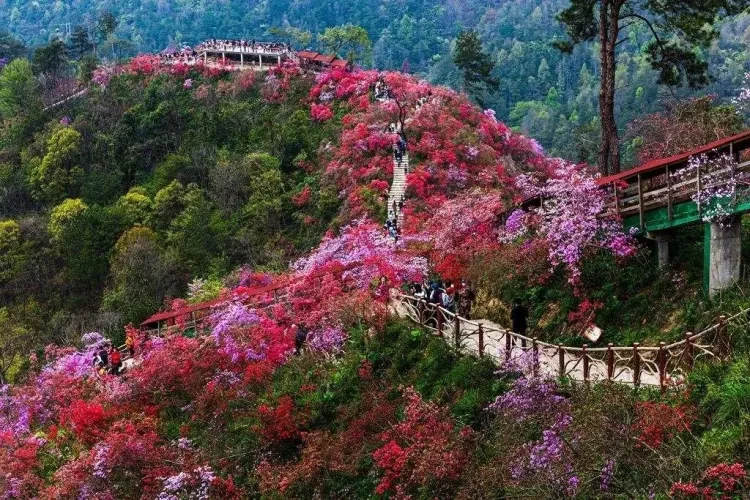 4734f22edaf710bae2b873de9461d757-sz_288596